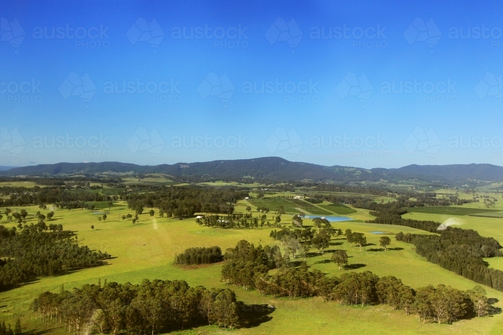 Aerial view of green paddocks and vineyards in the Hunter Valley - Australian Stock Image