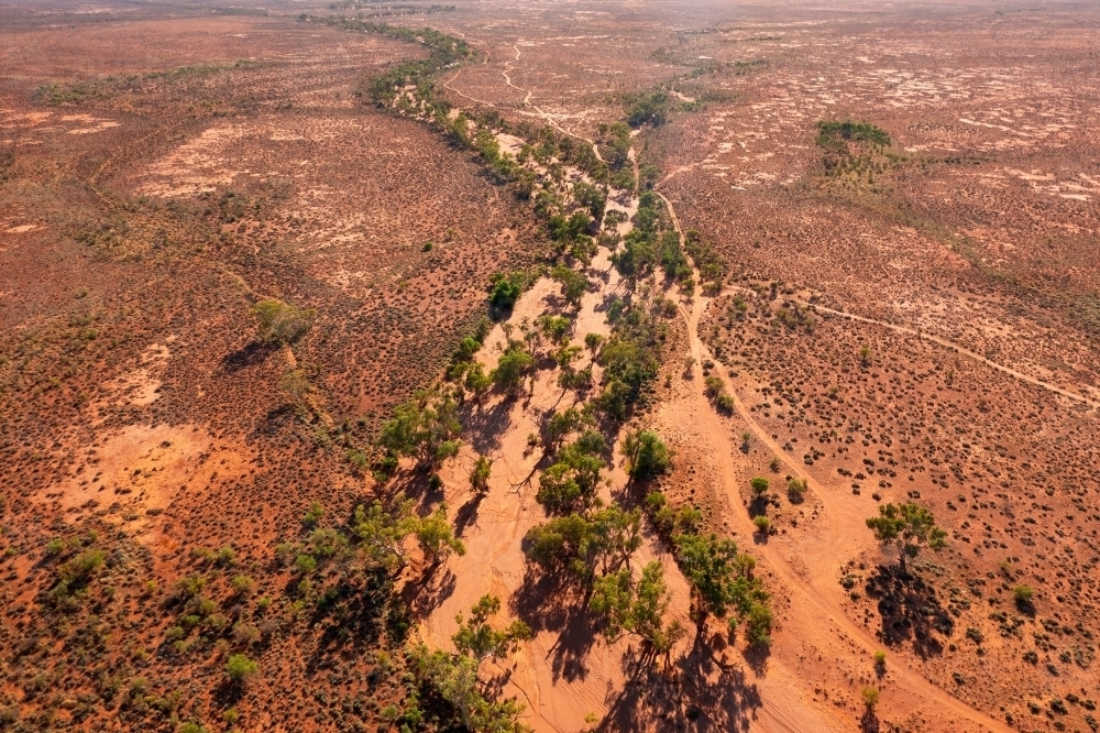 Aerial view of gum trees lining a dry river bed winding through a barren red outback landscape - Australian Stock Image
