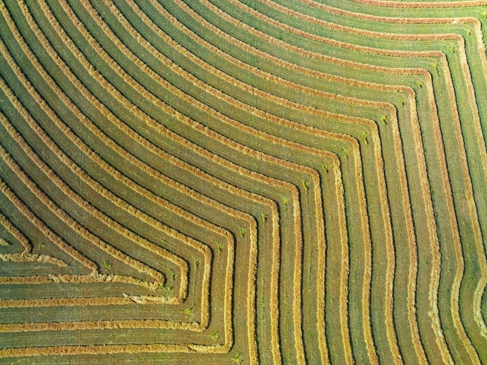 Aerial view of harvester lines and patterns in a rural paddock - Australian Stock Image