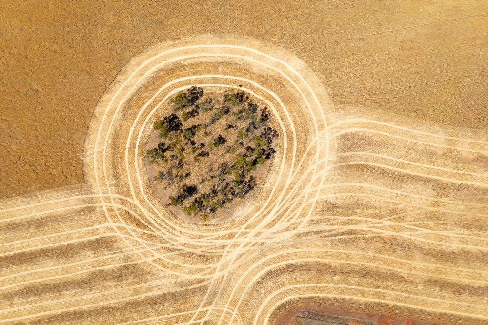 Aerial view of harvester tracks in paddock going around trees - Australian Stock Image