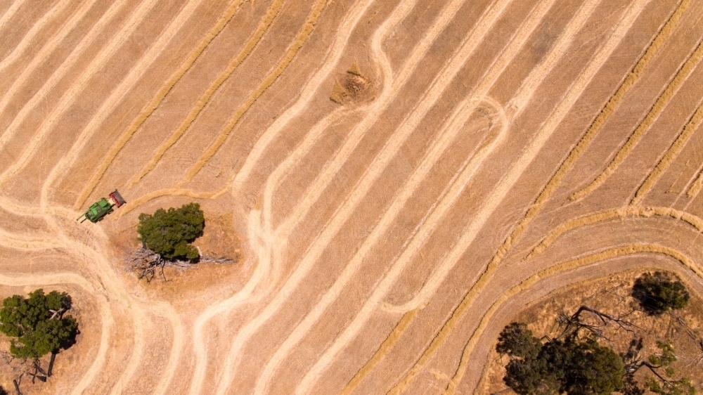 Image of Aerial view of harvesting a cereal crop Austockphoto