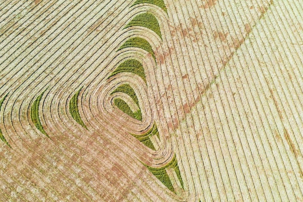 Image of Aerial view of harvesting patterns in an empty paddock ...