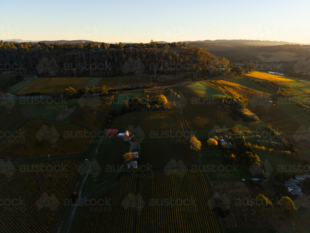 Aerial view of hillside and vineyards in the Tamar Valley - Australian Stock Image