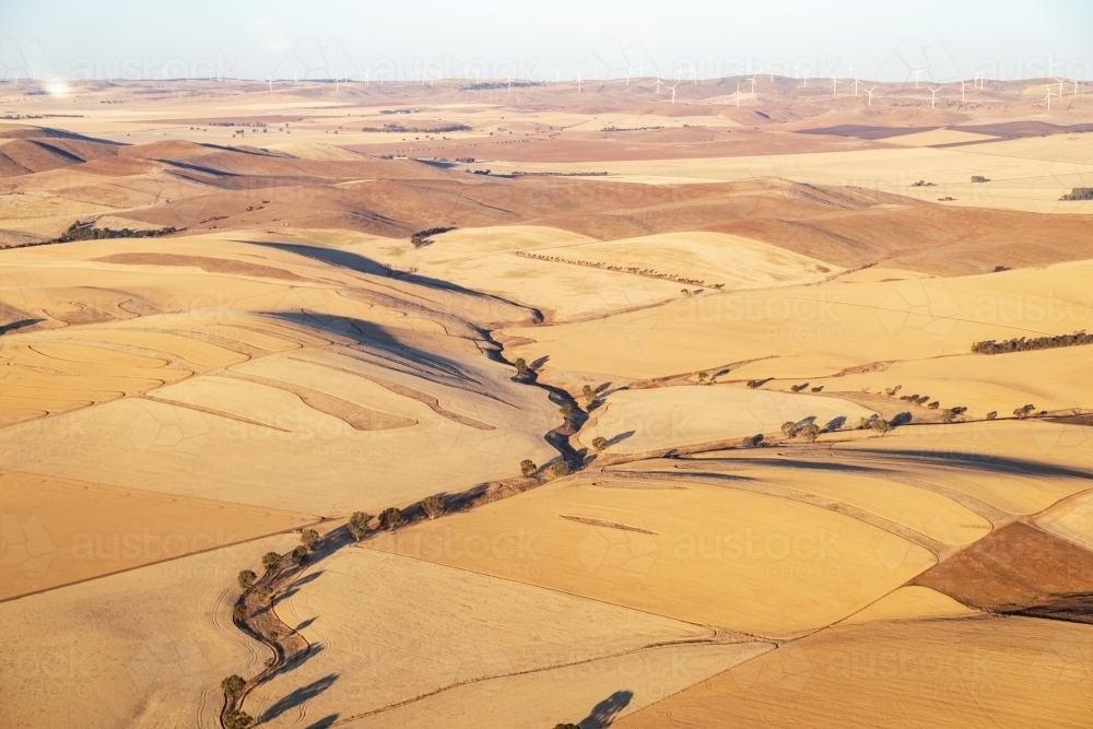 aerial view of hilly paddocks in summer - Australian Stock Image