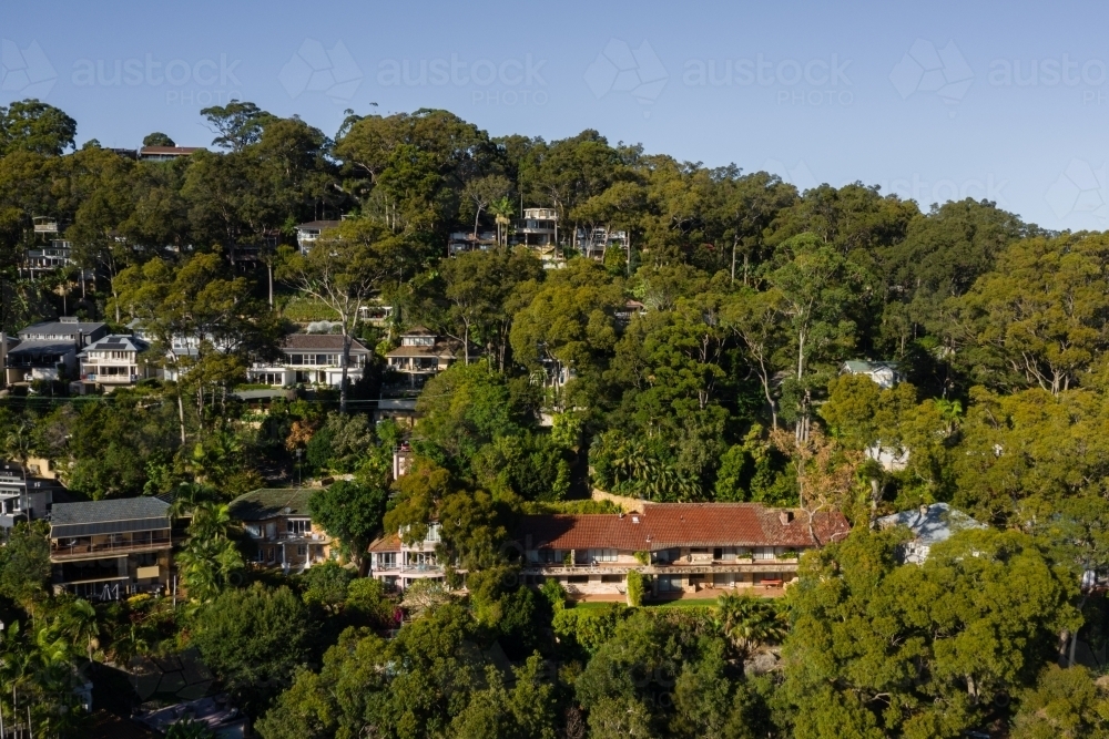 aerial view of houses amongst trees - Australian Stock Image