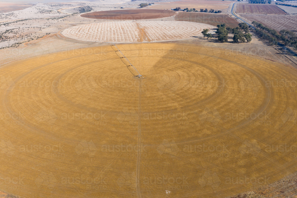 Aerial view of irrigation sprinkler on a dry circular field - Australian Stock Image