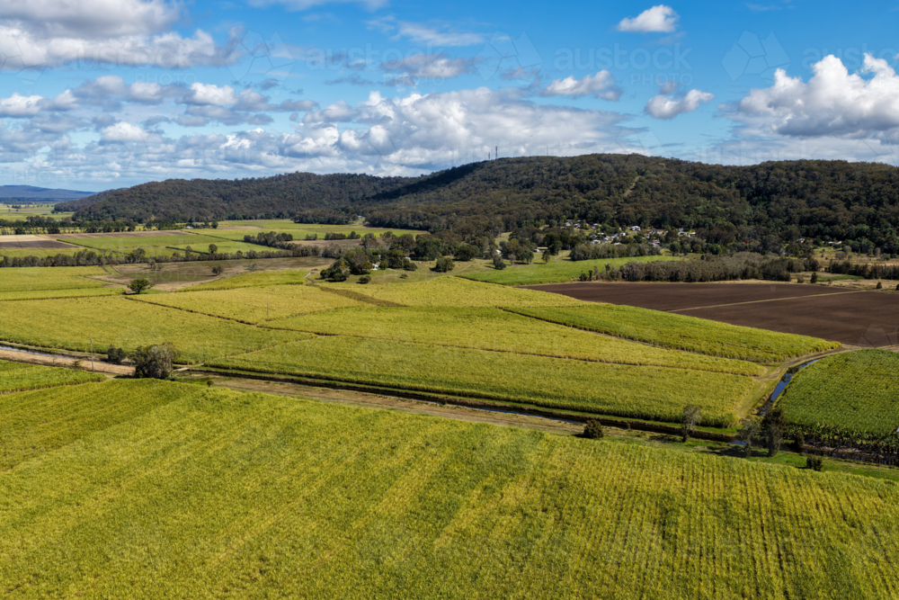 Aerial view of lush green rural land alongside the Clarence River at Maclean - Australian Stock Image