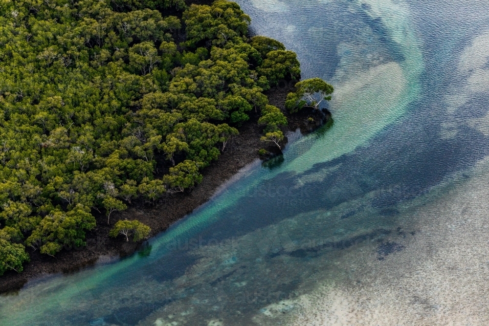 aerial view of mangroves and trees near channels - Australian Stock Image