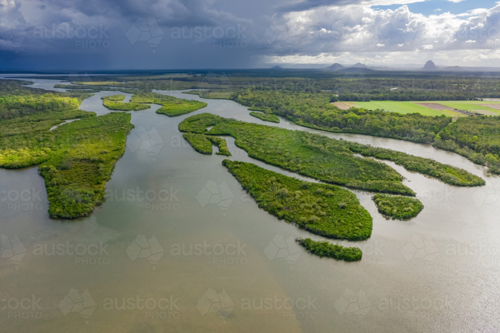 Aerial view of murky streams of water running through green mangrove wetlands - Australian Stock Image
