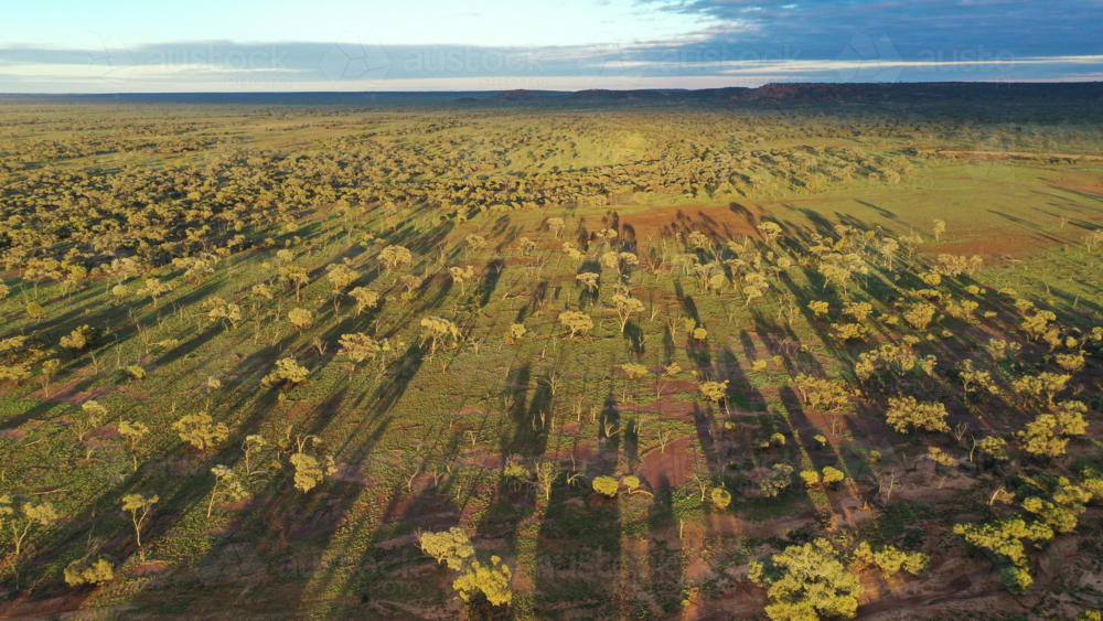 Aerial view of natural bushland - Australian Stock Image