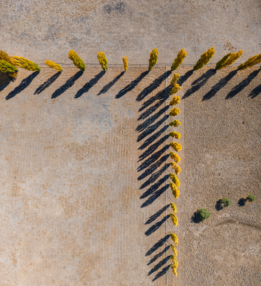 Aerial view of New England Autumn Colour - Australian Stock Image