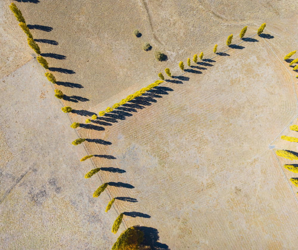 Aerial view of New England Autumn Colour - Australian Stock Image