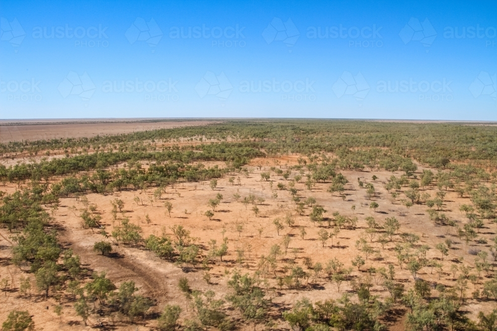 Aerial view of paddock on cattle station - Australian Stock Image