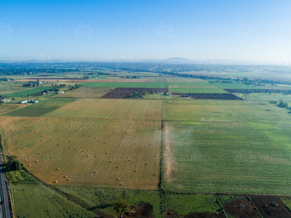 Aerial view of paddocks of crops in flat agricultural farmland in Hunter Valley on cool morning - Australian Stock Image
