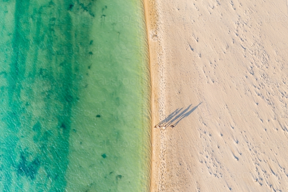 Image of Aerial view of people walking along a white sand beach on the ...