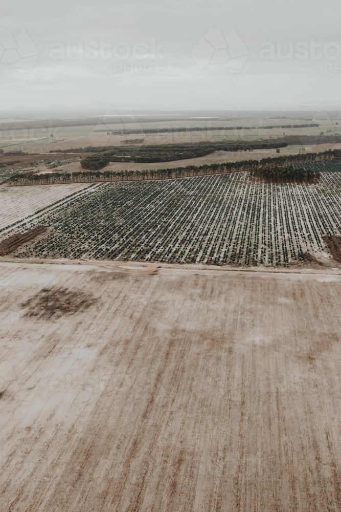 Aerial view of ploughed farm paddocks - Australian Stock Image
