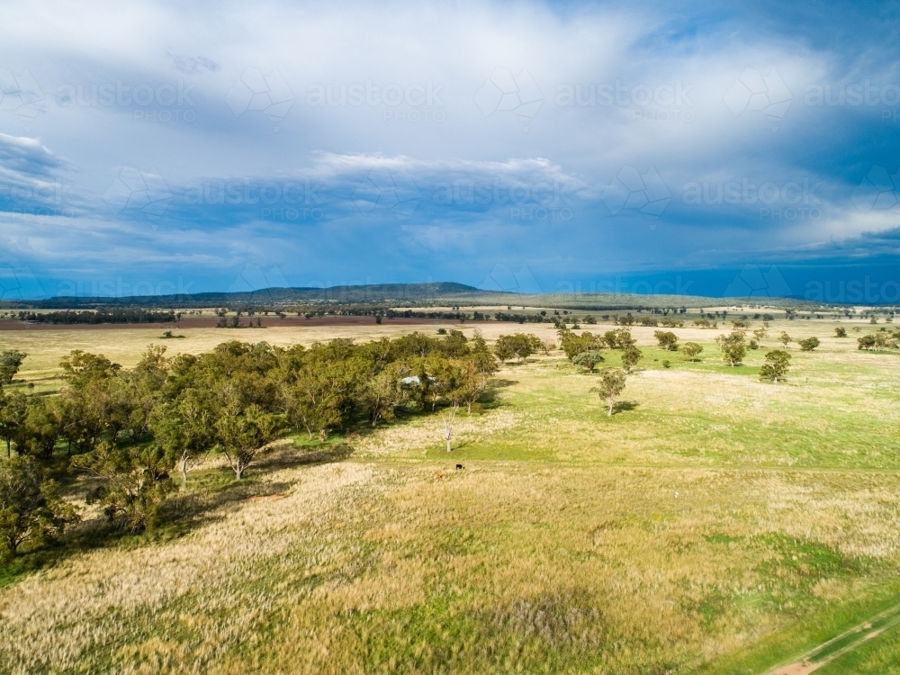 Aerial view of rain falling from storm clouds in distance coming towards sunlit farm paddock - Australian Stock Image