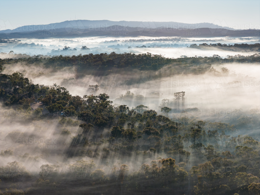 Aerial view of rays of light through fog over a forested valley and distant hills - Australian Stock Image