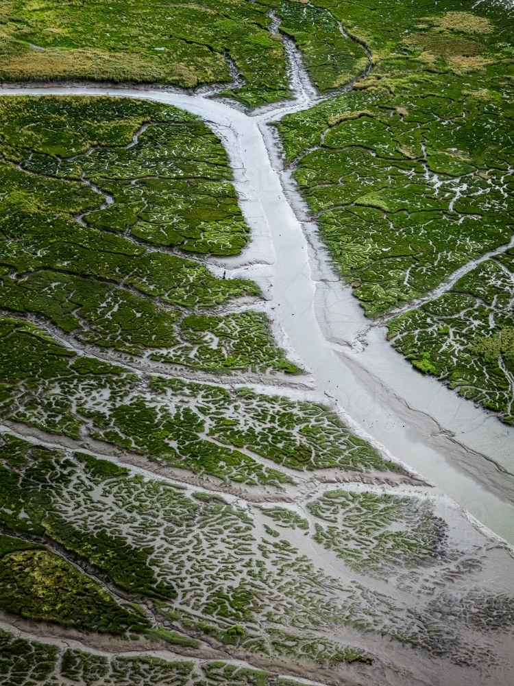 Aerial view of river and wetlands - Australian Stock Image