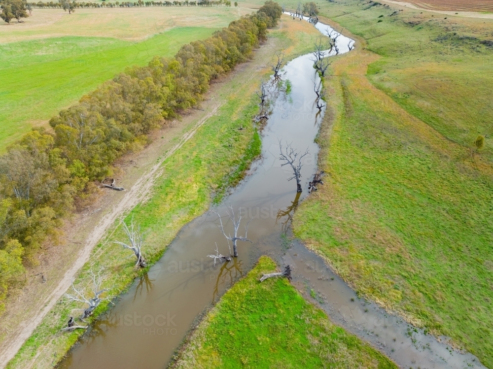 Aerial view of river lined with dead trees meandering through green farmland - Australian Stock Image