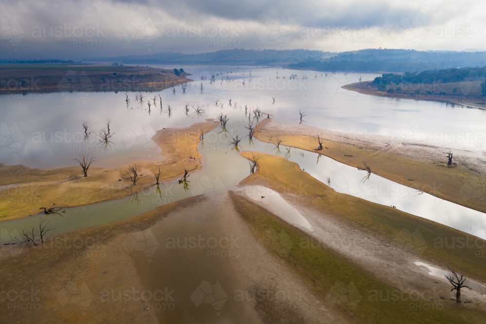 Aerial view of rivulets and dead trees in a drying reservoir under an overcast morning sky - Australian Stock Image