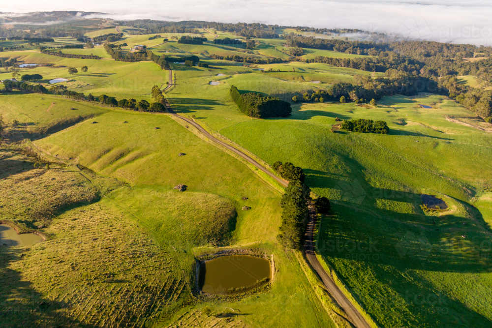 Aerial view of rolling green farmland under morning mist. - Australian Stock Image