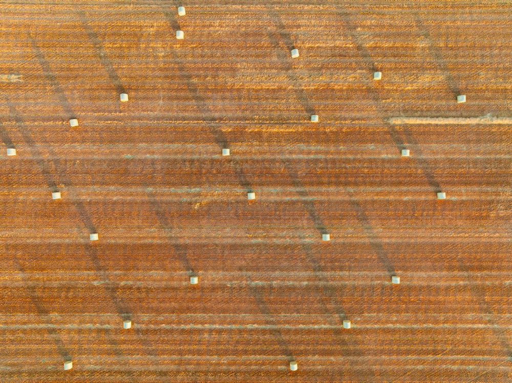 Aerial view of rows of hay bales in a harvested paddock - Australian Stock Image