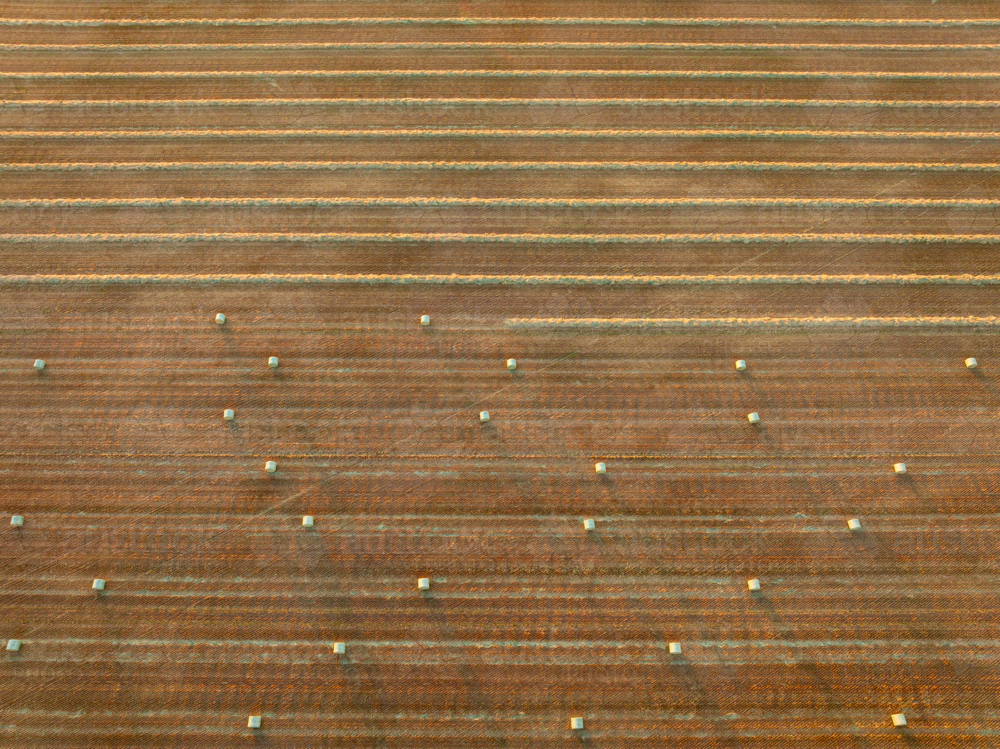 Image of Aerial view of rows of hay bales in a harvested paddock ...