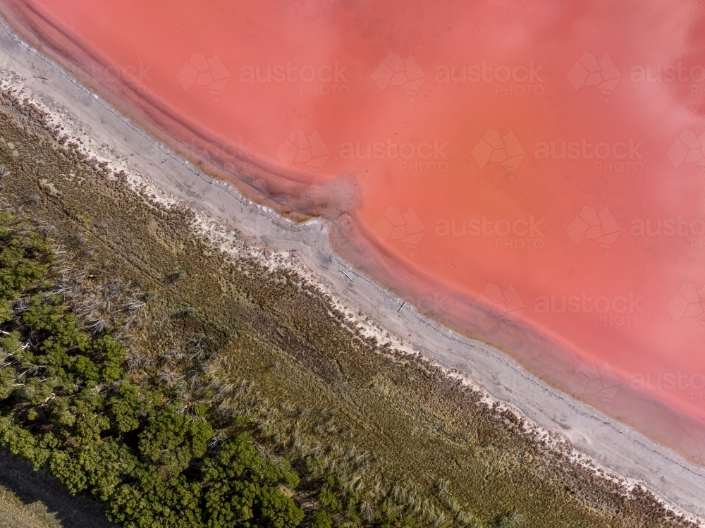Aerial view of the crusty shoreline of a section of a colourful pink salt lake - Australian Stock Image