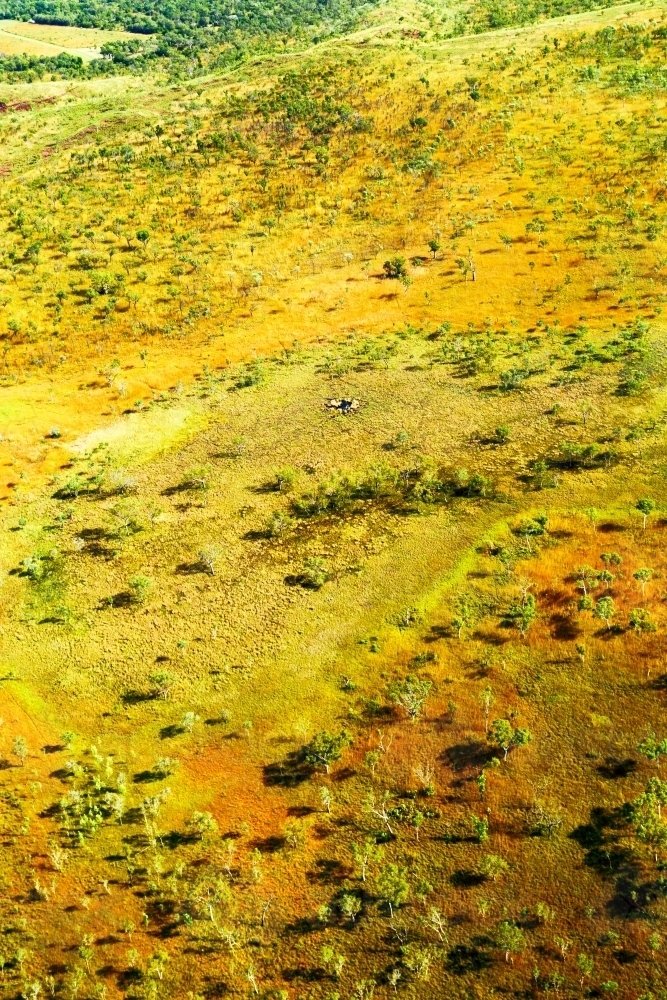Aerial view of the Kimberley savanna grasslands. - Australian Stock Image