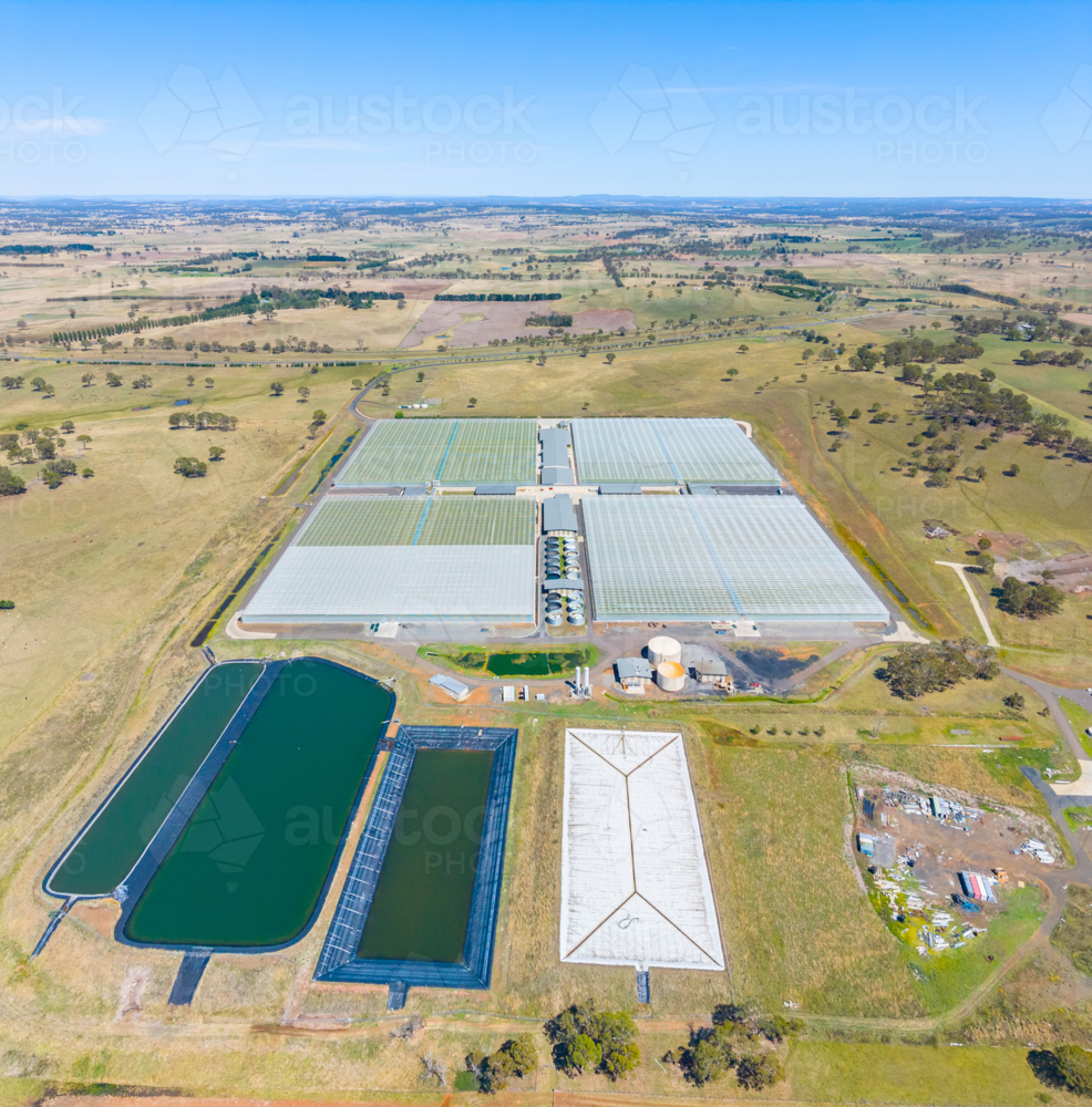 Aerial view of Tomato Farm in Guyra, New South Wales - Australian Stock Image