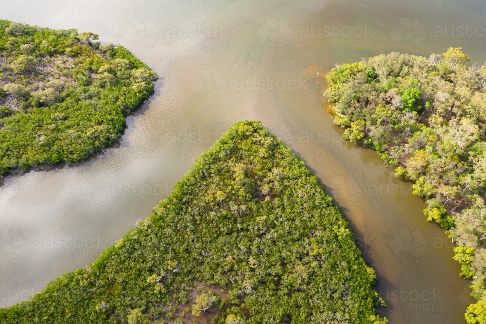 Aerial view of two creeks joining a murky river with lush green vegetation covering its banks - Australian Stock Image