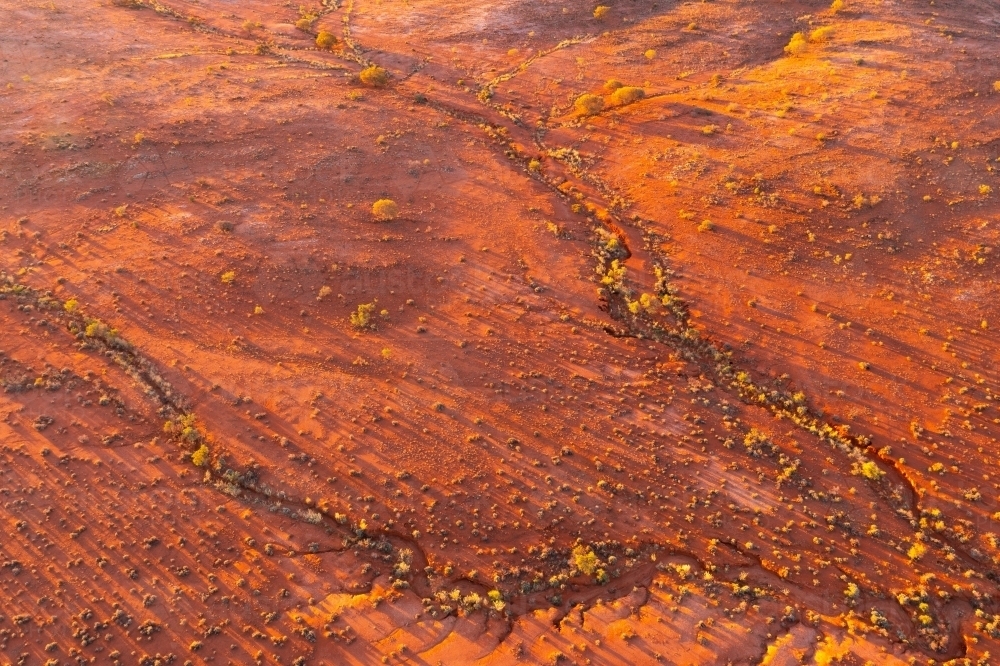 Aerial view of vegetation in dry creek beds in  in an arid outback landscape - Australian Stock Image
