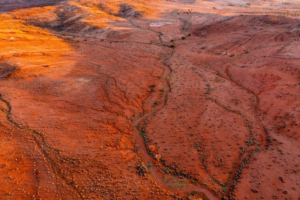 Aerial view of vegetation in dry creek beds through in an arid outback landscape - Australian Stock Image