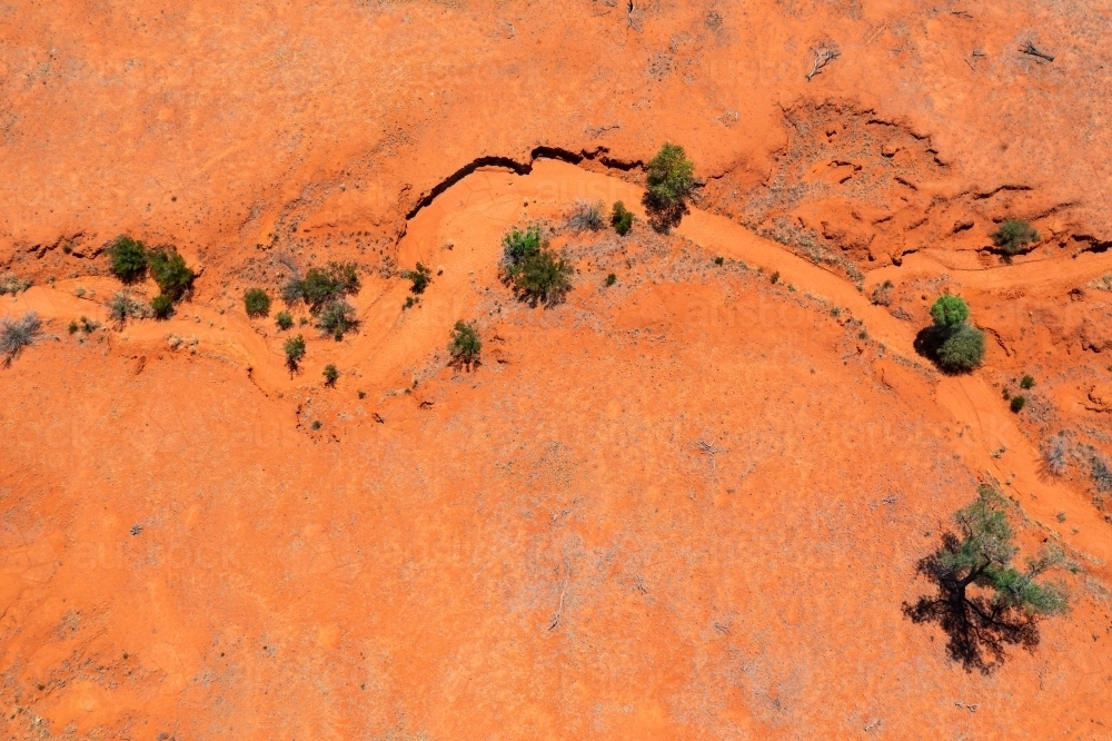Aerial view of vegetation in dry creek beds through red outback earth - Australian Stock Image