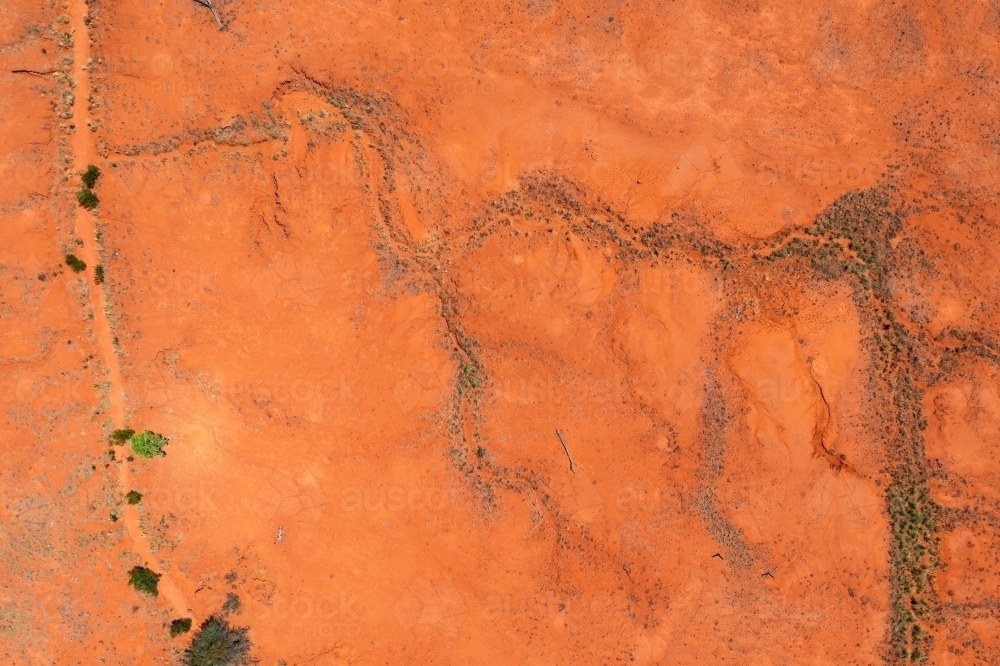 Aerial view of vegetation in dry creek beds through red outback earth - Australian Stock Image