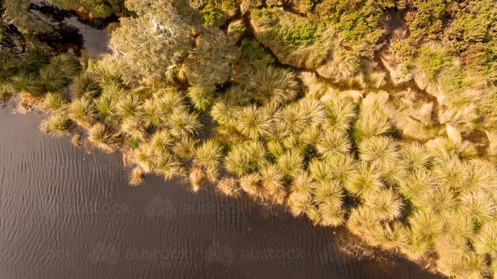 Aerial view of wetland area - Australian Stock Image