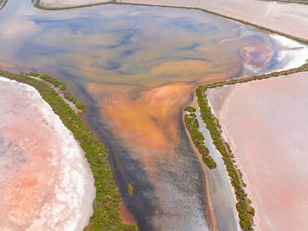 Aerial view of wetlands with colourful vegetation and dry salt lakes - Australian Stock Image