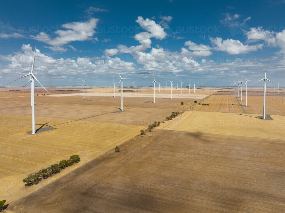 Image of Aerial view of wind turbines scattered over rural farmland ...