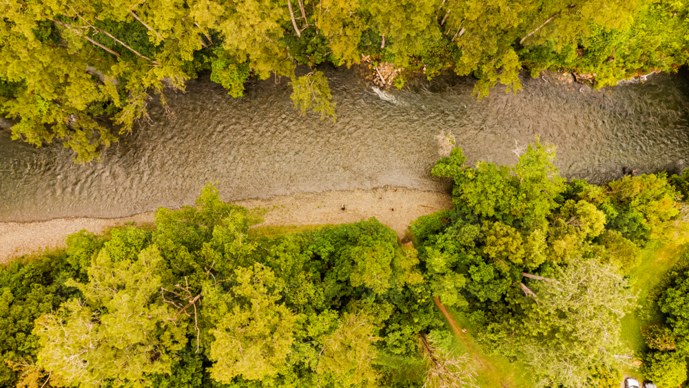 aerial view of winding river through dense green trees - Australian Stock Image