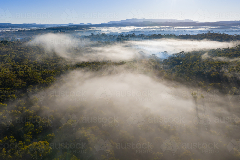 Aerial view of Winter fog over a forested valley and distant hills - Australian Stock Image