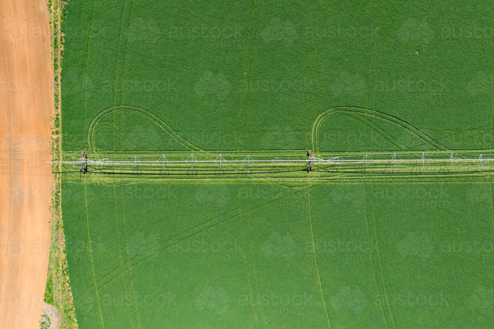 Aerial view over an irrigation sprinkler on a lush green farm crop - Australian Stock Image