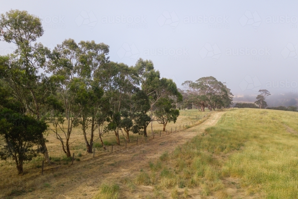 aerial view over foggy farmland in South Australia - Australian Stock Image