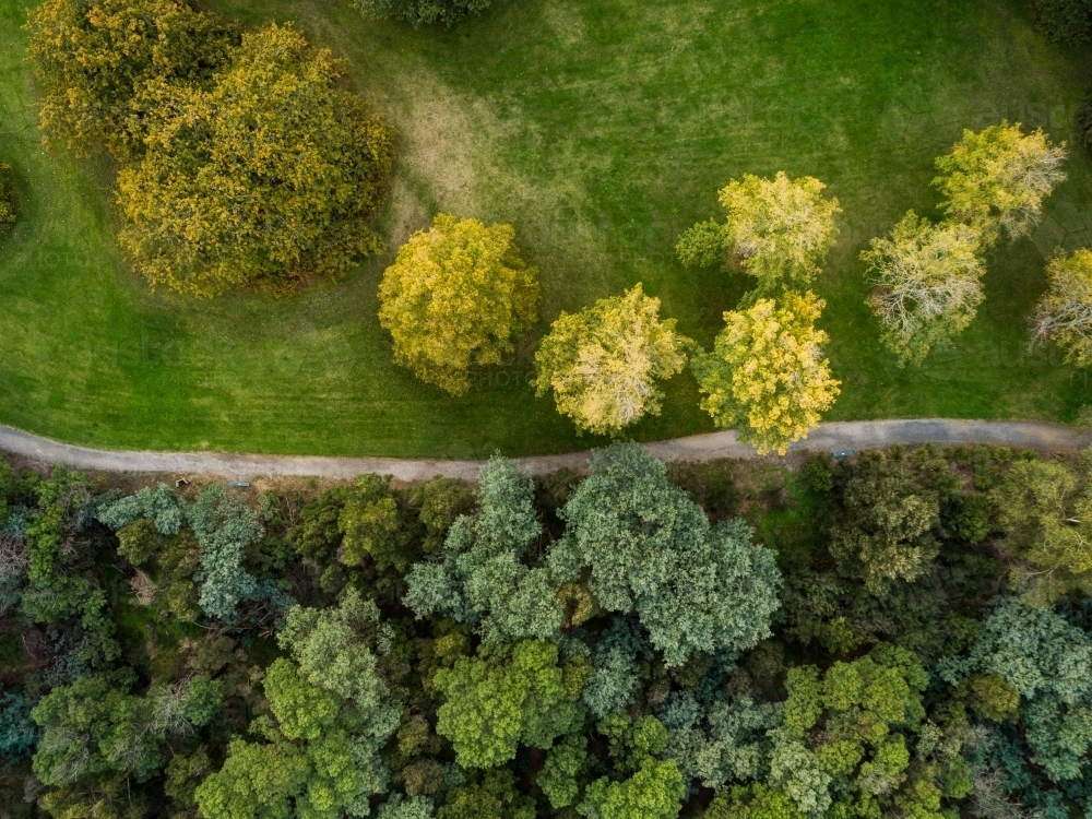 Image of Aerial view over green city park in autumn with walking trails ...
