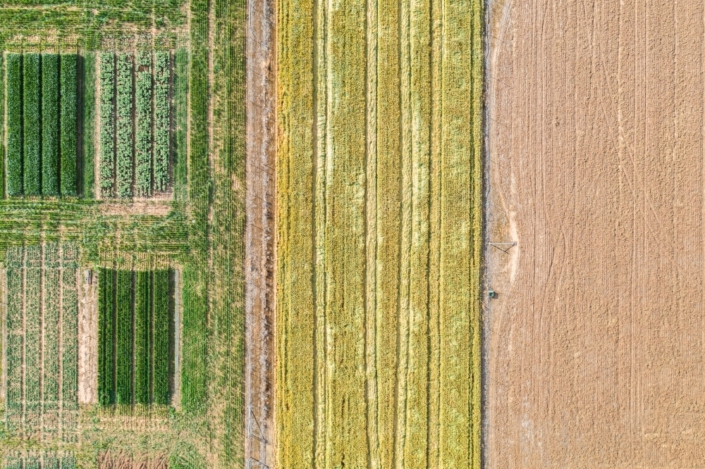 Aerial views of crop trials - Australian Stock Image