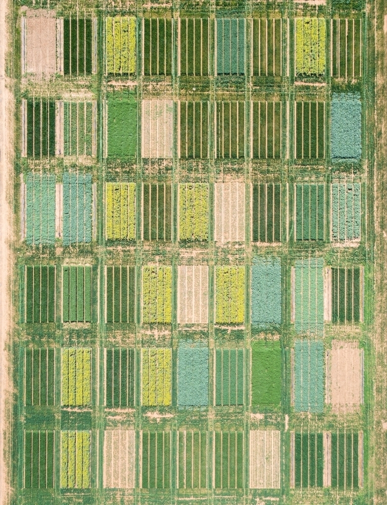 Aerial views of crop trials - Australian Stock Image