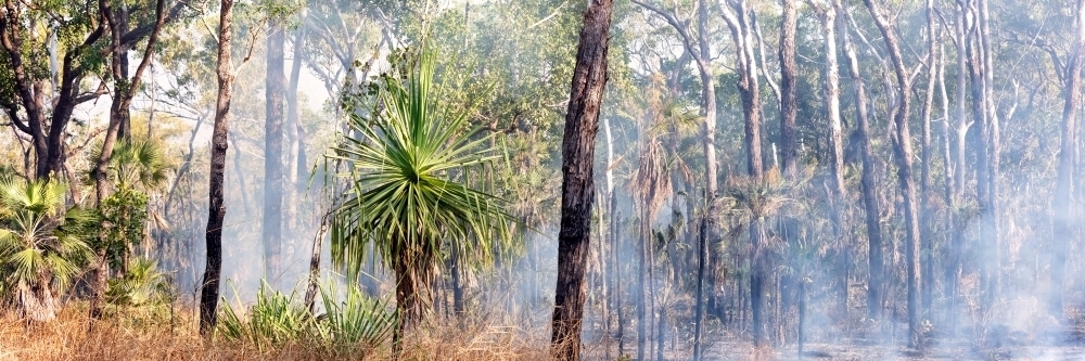 After a fire, smoke haze over burned and blackened landscape - Australian Stock Image
