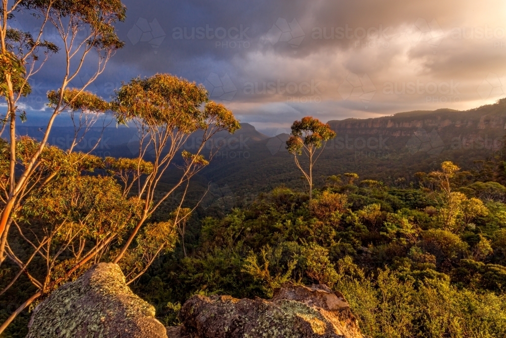 Afternoon light in the Blue Mountains as a storm came in - Australian Stock Image