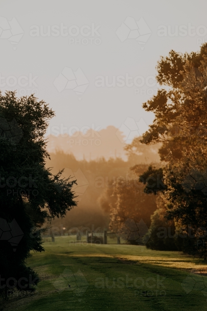 Afternoon sun in a park - Australian Stock Image