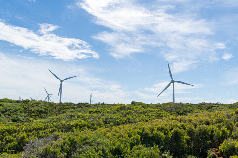 Albany Wind Farm Turbines Against Blue Skies - Australian Stock Image